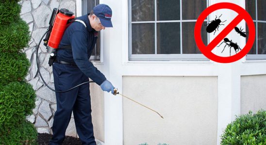 Nazımiye Hamam Böceği İlaçlama böcek ilaçlama ve haşere kontrolü — ilaclama-tr.com